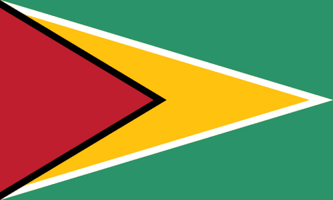 Bandeira: Guiana
