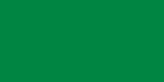 Bandeira: Líbia de Gaddafi