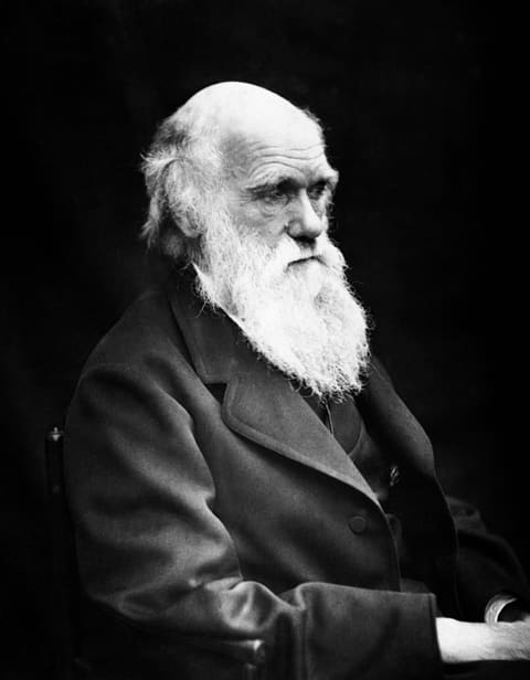 Retrato de Charles Darwin