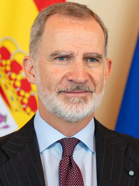 Retrato de Felipe VI