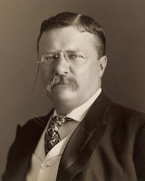 Retrato de Theodore Roosevelt